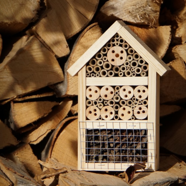 Nests and Feeders-Hotel for Useful Insects BuginVilla - 3194