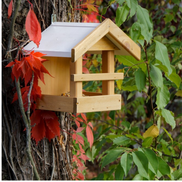 Nests and Feeders-Thrush bird feeder - 3208