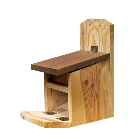 Nidi Artificiali -Mangiatoia per scoiattoli Nutsy - 3284 Nidi Artificiali -Mangiatoia per scoiattoli Nutsy - 3284