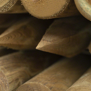 PT80-30PK-Pali per Recinzioni-50 pezzi di Palo tondo Ø 8 x H 300 cm con punta in legno - Regno del Legno - 4853