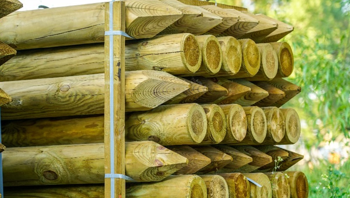 Pali in legno per recinzioni di pino trattato autoclave