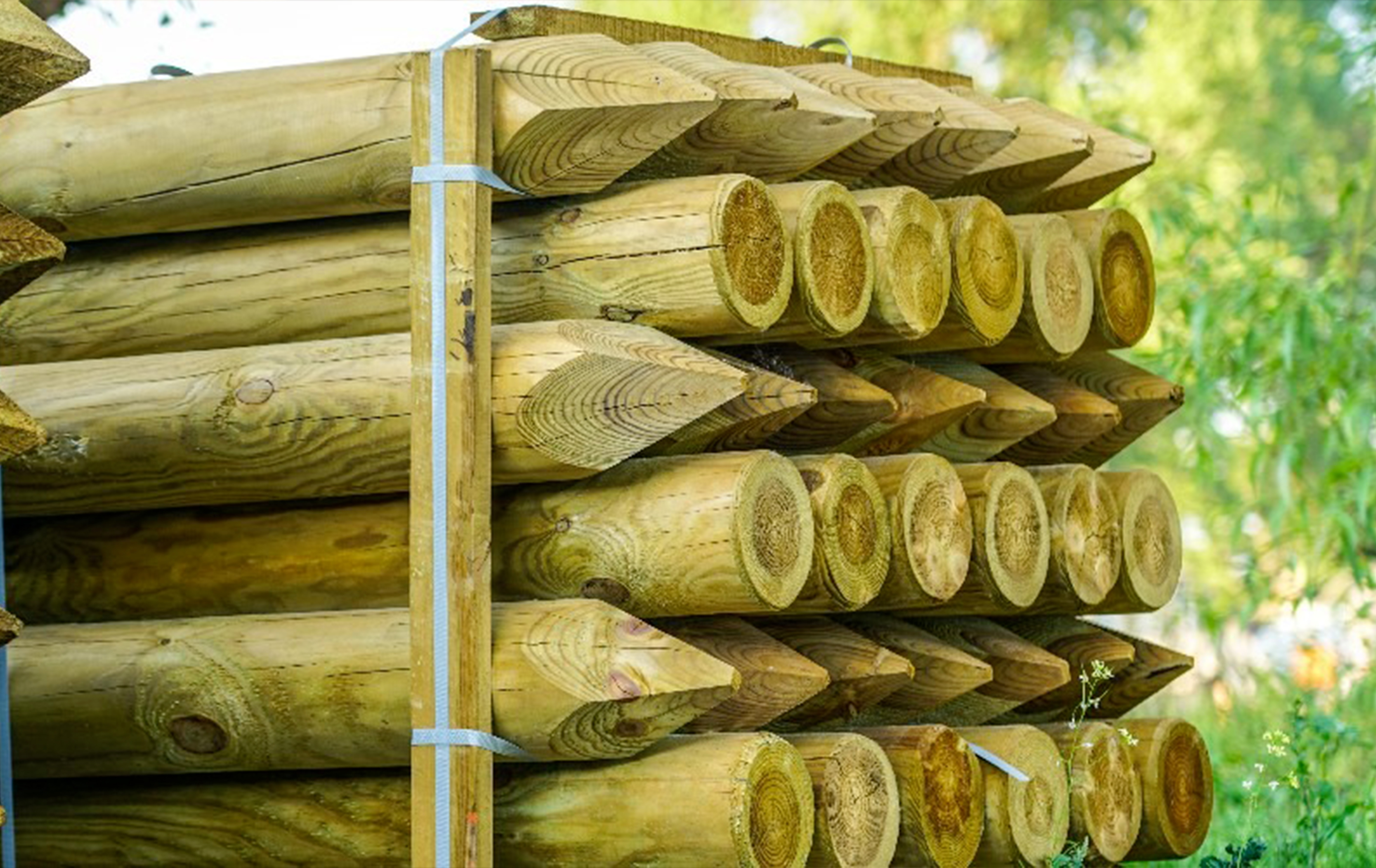 Pali in legno per recinzioni di pino trattato autoclave